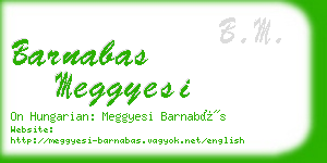 barnabas meggyesi business card